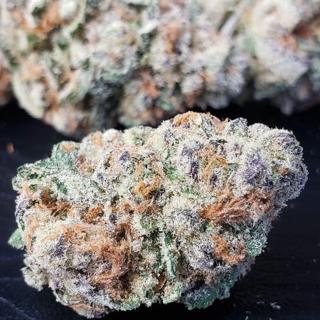 cmh-pacific-punch-buds-trichomes-nug